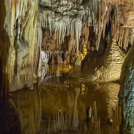 In - Istrien 10308 Privatunterkunft Poreč