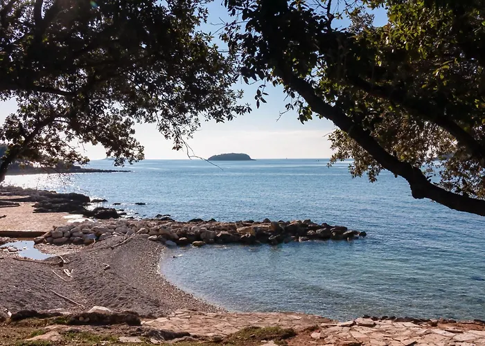 Privatunterkunft In - Istrien 10308 *